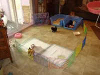 processed/08e086b2-e20d-446b-94c7-606a4f799b8d/facility/cb68002c-15c8-45ad-af38-26bee34bc23c