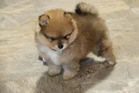 processed/08e086b2-e20d-446b-94c7-606a4f799b8d/facility/cc302e0b-10f3-403c-9e7f-c6dc1e92a3e6