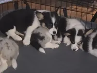 processed/08e29148-c340-47f1-b71a-3a1b25e59b7d/facility/1b1fa7dd-f55e-4d5d-945c-a31f828eb1c0