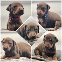 processed/08edeb3b-a19d-4a37-9a2c-aee9987114a3/facility/d70665c1-d082-4c0e-8ba1-9af5644b4436