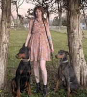 Selene, a female Doberman Pinscher for sale in McHenry, IL – Photo 4 of 5