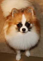 processed/08f24553-5a34-4cd2-9fef-61ffdb03d78d/facility/2333efe4-616f-4b35-af92-033f47a28099