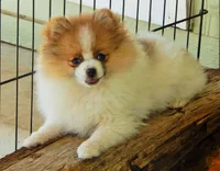 processed/08f24553-5a34-4cd2-9fef-61ffdb03d78d/facility/b243d4e1-8f54-4a7f-9d89-cff9c7a1c0e4