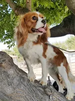 processed/08f24553-5a34-4cd2-9fef-61ffdb03d78d/facility/e3d806f4-f7b0-4fb8-91cc-a367a4f127bc