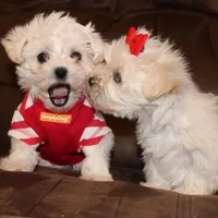 processed/08f492b9-bd6d-49ad-9b75-eb8956a043c9/facility/13e162fc-4ef0-4325-a0a6-cfbe2f58bee8