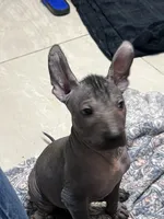 processed/08f52d95-be01-4383-acc6-205b64505c6a/listing/324d3771-5289-46c0-a5ba-b66bad3b9979/11755f33-bb9a-4239-8091-017199516268