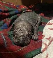 processed/08f52d95-be01-4383-acc6-205b64505c6a/listing/324d3771-5289-46c0-a5ba-b66bad3b9979/13bf238c-de62-4fef-91c7-089a232804fb