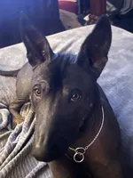 processed/08f52d95-be01-4383-acc6-205b64505c6a/listing/324d3771-5289-46c0-a5ba-b66bad3b9979/4aa0a5f8-5fad-4fe2-8dca-35dff13b131b