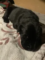 processed/08f52d95-be01-4383-acc6-205b64505c6a/listing/324d3771-5289-46c0-a5ba-b66bad3b9979/686f965f-def5-4a1b-8b63-2d1d3e283b22