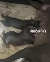 processed/08f52d95-be01-4383-acc6-205b64505c6a/listing/324d3771-5289-46c0-a5ba-b66bad3b9979/a0973352-84c1-4b1e-b70d-7c84ca549856