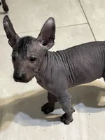 processed/08f52d95-be01-4383-acc6-205b64505c6a/listing/324d3771-5289-46c0-a5ba-b66bad3b9979/a9aaf006-ad17-48f7-84da-5fb9534e9070