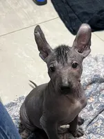 processed/08f52d95-be01-4383-acc6-205b64505c6a/listing/324d3771-5289-46c0-a5ba-b66bad3b9979/ad8f50fd-2db3-4095-bb38-5d692b2f9f27