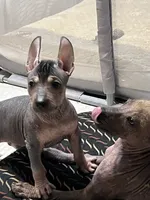 processed/08f52d95-be01-4383-acc6-205b64505c6a/listing/b16aae34-b2ca-45bd-90aa-d12083218bf5/641cfecc-f07b-46bb-94b3-3bd7c28386e1