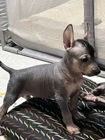 processed/08f52d95-be01-4383-acc6-205b64505c6a/listing/b16aae34-b2ca-45bd-90aa-d12083218bf5/9cf30ef9-b664-4bf2-a074-d0b31959bd5e