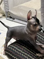 processed/08f52d95-be01-4383-acc6-205b64505c6a/listing/b16aae34-b2ca-45bd-90aa-d12083218bf5/f4082feb-26b5-4865-a944-2327dc5bdad5