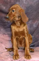 processed/08f8356c-0ea1-46c9-ac3d-12a7d56295b9/listing/b5f173db-8ad6-4052-b504-df305ab45e05/e47af9d4-ad2f-4bdf-abef-79d4133d5899