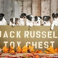 processed/08fa11fd-f3c8-4f95-8798-88bdb16b603c/facility/abbb9873-5535-4ca9-ac44-0d6aba808179