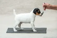 processed/08fa11fd-f3c8-4f95-8798-88bdb16b603c/listing/18e83fe5-406c-4f2e-b2fd-ff4e5f59ecbb/611ad283-5d10-4261-8db1-885ec2e3dc63