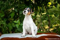 processed/08fa11fd-f3c8-4f95-8798-88bdb16b603c/listing/18e83fe5-406c-4f2e-b2fd-ff4e5f59ecbb/762bb316-71a8-4021-9e05-0c0e7c2389fa