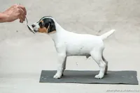 processed/08fa11fd-f3c8-4f95-8798-88bdb16b603c/listing/18e83fe5-406c-4f2e-b2fd-ff4e5f59ecbb/9f569659-1474-4e53-89e4-f25458db7873