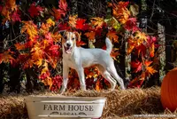 processed/08fa11fd-f3c8-4f95-8798-88bdb16b603c/listing/18e83fe5-406c-4f2e-b2fd-ff4e5f59ecbb/f50e29a7-4054-46fd-90bf-000ce0a309aa