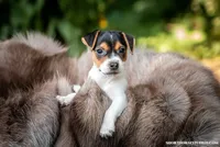 processed/08fa11fd-f3c8-4f95-8798-88bdb16b603c/listing/2ae93085-4c7a-4f74-aab4-a786f5b53704/7de12fb4-cf28-47c0-a9db-d60000795937