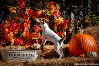 processed/08fa11fd-f3c8-4f95-8798-88bdb16b603c/listing/2ae93085-4c7a-4f74-aab4-a786f5b53704/9681d358-8dc0-47f3-86ca-9d496f92332d