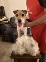 processed/08fa11fd-f3c8-4f95-8798-88bdb16b603c/listing/436634a2-9e23-4a02-9cf0-6a559b30471a/0459cc75-50c1-4ad8-92a8-c7de793fe142