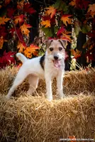 processed/08fa11fd-f3c8-4f95-8798-88bdb16b603c/listing/436634a2-9e23-4a02-9cf0-6a559b30471a/60015f00-7af7-4ff5-b917-1da06266dd62