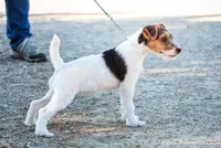 processed/08fa11fd-f3c8-4f95-8798-88bdb16b603c/listing/436634a2-9e23-4a02-9cf0-6a559b30471a/72625f0f-8614-4b62-93ed-a12f0f4e3544