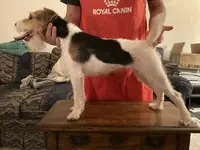 processed/08fa11fd-f3c8-4f95-8798-88bdb16b603c/listing/436634a2-9e23-4a02-9cf0-6a559b30471a/8ffd4659-9488-41bc-afc5-c8b5e5578c33