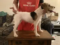 processed/08fa11fd-f3c8-4f95-8798-88bdb16b603c/listing/436634a2-9e23-4a02-9cf0-6a559b30471a/ed0ad00b-e197-4482-8ffa-36f7f1094090