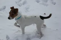 processed/08fa11fd-f3c8-4f95-8798-88bdb16b603c/listing/604daac8-fc7d-45c1-b45d-591fff564646/afc3a722-1d6e-48c8-bcc5-d139c3cbab6c