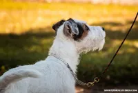 processed/08fa11fd-f3c8-4f95-8798-88bdb16b603c/listing/6a481edc-d110-48c5-9fe0-832b1d5fd1d2/2138df64-1a3d-420d-90dc-76200ebcdcf5