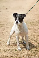 processed/08fa11fd-f3c8-4f95-8798-88bdb16b603c/listing/6a481edc-d110-48c5-9fe0-832b1d5fd1d2/68adc6e9-3693-4e75-a3d4-4cf9e78d7acd