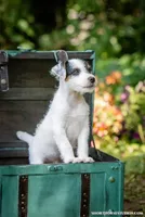 processed/08fa11fd-f3c8-4f95-8798-88bdb16b603c/listing/6a481edc-d110-48c5-9fe0-832b1d5fd1d2/908e91f5-3f22-4774-b227-883b0ac9fab6