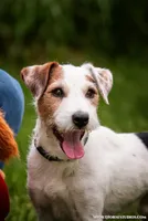 processed/08fa11fd-f3c8-4f95-8798-88bdb16b603c/listing/6a481edc-d110-48c5-9fe0-832b1d5fd1d2/c1e8cf48-3f77-4fc2-b40a-467dfa2eee67