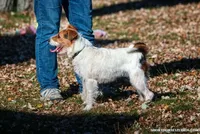 processed/08fa11fd-f3c8-4f95-8798-88bdb16b603c/listing/97de7ddf-7838-48f8-a8f6-8250bc1e7419/271e73fb-21e9-4aee-b945-c800dd6c7867