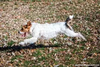 processed/08fa11fd-f3c8-4f95-8798-88bdb16b603c/listing/97de7ddf-7838-48f8-a8f6-8250bc1e7419/5656a91b-8f60-4b05-9e78-1cccd781faf7