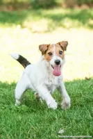 processed/08fa11fd-f3c8-4f95-8798-88bdb16b603c/listing/97de7ddf-7838-48f8-a8f6-8250bc1e7419/7428f534-2ed9-4f85-8d0c-fdc6c1088dcf