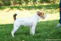 processed/08fa11fd-f3c8-4f95-8798-88bdb16b603c/listing/97de7ddf-7838-48f8-a8f6-8250bc1e7419/e9cfc056-e009-4e9b-9ffc-dd08f8119958