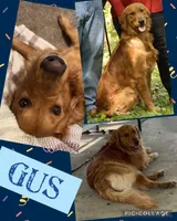 processed/08fdcc61-c6f2-4c2b-8547-9ec8c4429f51/facility/0bb9e977-d71a-49c7-b874-a104112d1d4e