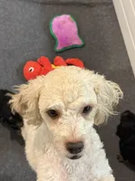 processed/08fdcc61-c6f2-4c2b-8547-9ec8c4429f51/facility/10735283-7e7d-4fc9-89d0-dbc76cad5f5e