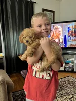 processed/08fdcc61-c6f2-4c2b-8547-9ec8c4429f51/facility/41623b8a-6d8a-45ba-aa9d-48ce6a27210d