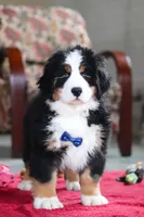 processed/0902fe58-5422-46de-a477-4c80f896e02a/listing/bab61f2d-8e86-40a1-bb24-dc468b79e545/1e0f6a4d-0e66-4fe3-b51c-9dce7d9a922f