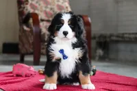 processed/0902fe58-5422-46de-a477-4c80f896e02a/listing/bab61f2d-8e86-40a1-bb24-dc468b79e545/7e92c4e3-bc8e-4144-84ab-434df182211c