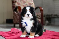 processed/0902fe58-5422-46de-a477-4c80f896e02a/listing/bab61f2d-8e86-40a1-bb24-dc468b79e545/87cbb324-5fb6-4bd3-98a1-5d702d58b517