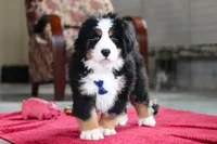 processed/0902fe58-5422-46de-a477-4c80f896e02a/listing/bab61f2d-8e86-40a1-bb24-dc468b79e545/97ee6419-7045-4129-8fee-22b2cc813e99