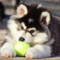 processed/09056aea-5c81-4e9f-aa78-ebeef1e0966c/facility/018465ed-ba5c-4fb8-93af-6a182e580e3f