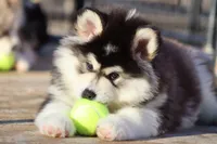 processed/09056aea-5c81-4e9f-aa78-ebeef1e0966c/facility/018465ed-ba5c-4fb8-93af-6a182e580e3f